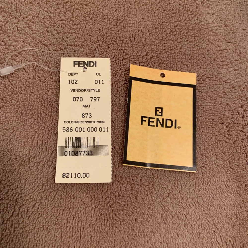 Fendi Python Frame Clutch - image 5